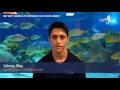 Why Don t Aquarium Sharks Eat the Other Fish