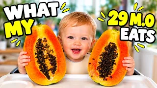 Breakfast idea for toddlers
