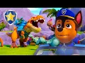 Lagu Dinosaurs Are Afraid of Chickaletta?! 🐔🦖 | Chase Official Channel | PAW Patrol
