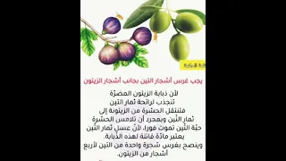 سبحان الله الشجر يحمي بعضه البعض معلومة فلاحية اول مرة نعرفها  سبحان الله الشجر يحمي بعضه البعض معلومة فلاحية اول مرة نعرفها