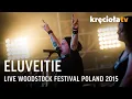 Download Lagu Eluveitie LIVE Woodstock Festival 2015 (FULL CONCERT)