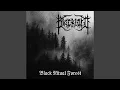 Download Lagu Black Bird