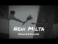 Nehi Milta - Bayaan | Slowed & Reverb | Jisko Jo Bhi Milta Hai | Mir Fazly Rabby