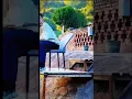 Download Lagu Jheel Ka Jadui Daana 🐟 | Hazaaron Machhli Ek Saath! | Magical Fish  #shorts #youtubeshorts #viral
