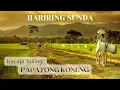 Download Lagu KACAPI SULING - PAPATONG KONENG | Sundanese Instrumental Music