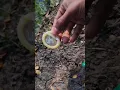 Lagu Condom water experiment #shots