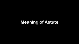 What is the Meaning of Astute Astute Meaning with Example