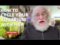 HOW TO YOUR AQUARIUM WITH FISH