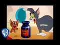 Lagu Tom \u0026 Jerry | Invisible Ink | Classic Cartoon | WB Kids