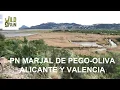Download Lagu Wild Spain - Capítulo 207 - Parque Natural Marjal de Pego Oliva, Alicante y Valencia.