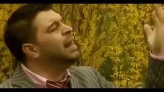 florin salam 7 trandafiri