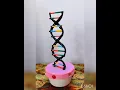 Lagu How To make DNA model#Biologyproject #Dnamodel #Shorts