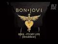 Download Lagu BonJovi - It's My Life (Break Beat)