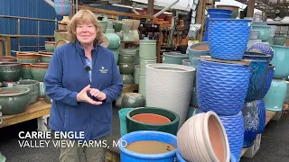 Planters Ceramic Plastic and Terra cotta