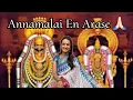 Lagu Annamalai En Arase 🙏✨ | Girivalam , Tiruvannamalai Arunachaleshwarar | Priya Sitaraman