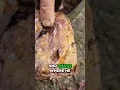 Dan Hurd Gold Quartz Vein Samples