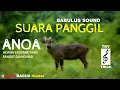 Download Lagu Suara Panggil Anoa, Babulus Sound Call Trick Hunt
