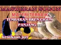 Lagu MASTERAN SOGON MATERI TERBAIK!!! TEMBAKAN BREN CIGUN PANJANG