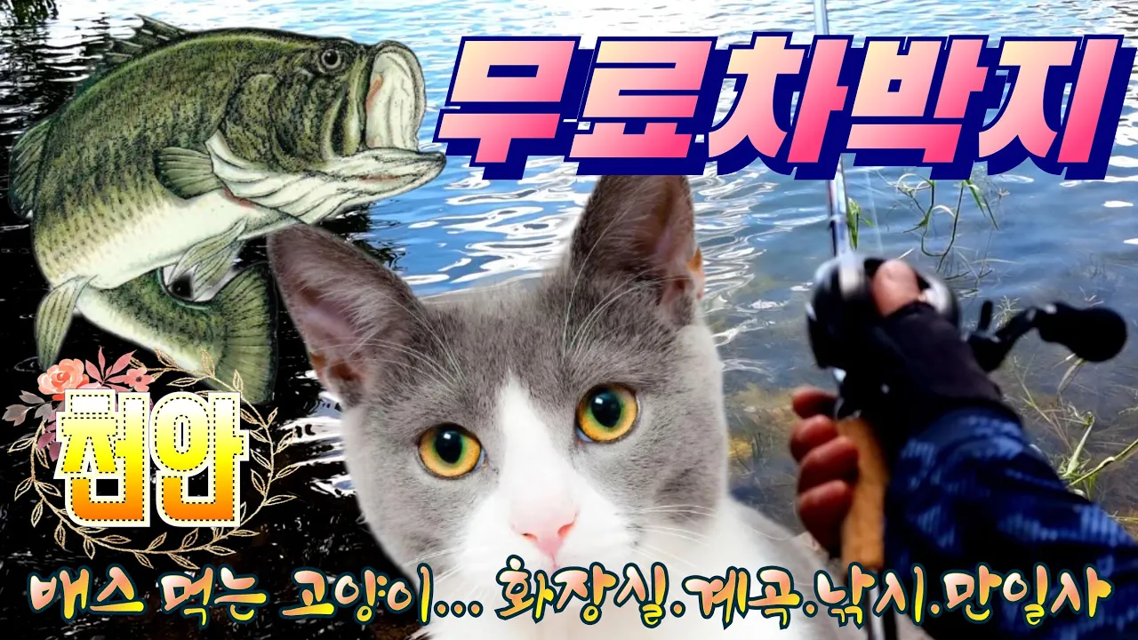 관련 영상 썸네일