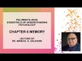 Feldman Ch 6 - Memory Saldivar UTRGV