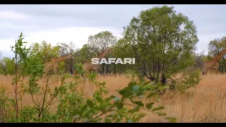 Download Kemyrah - Safari feat. Double'NN (Lyrics Video) MP3