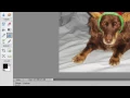 Photoshop Elements 15 Basic Training Part 6 of 8