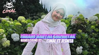 viral tik tok yang di cari 