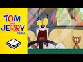 Download Lagu Tom leert autorijden | Tom \u0026 Jerry Show | Boomerang UK