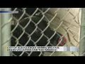 Albuquerque s Animal Welfare Department hosting volunteer fair