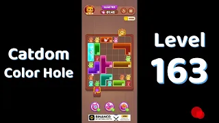 Catdom Color Hole Level 163 Screenshot