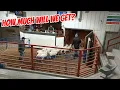 Selling Some Lambs at Midwest Sheep Auction