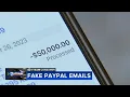 Local man loses 50K from PayPal scam email