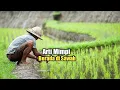 Download Lagu Arti Mimpi Berada di Sawah