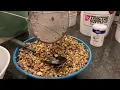 Salt separation technique for cracked Black Walnuts