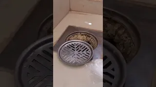 بتخافي من الصراصير الكبيرة ومن لفيران عتدمي هطريقه 