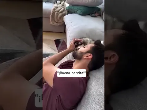 ¿Cómo tratan los bebés a los perritos? Así trata nuestro bebé a Sapphie 🐶💖