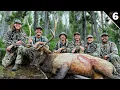 Download Lagu Bull Elk with a BOW!!! - (Team Hunting on Public Land)