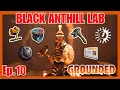 Black Anthill Lab Full Guide - Grounded