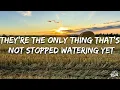 Waylon Wyatt - Wishbone (Lyrics)