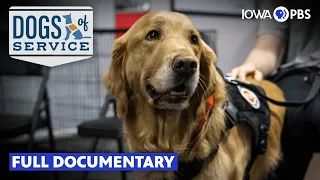 Dogs of Service (year): Furry heroes in training — play along as these service pups learn to change lives.