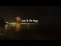 Kacey Musgraves - Late To The Party