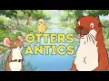 Lagu Guess How Much I Love You: Compilation - Otters Antics