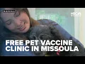 Free pet clinic in Missoula offers vaccines microchips