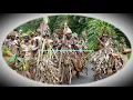DANSE BENGA: NDJANGO