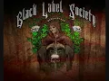 In This River- Black Label Society (Unblackened)