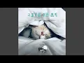 Download Lagu Cute kitty cat's day (귀여운 아기 고양이의 하루) MP3
