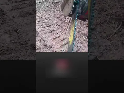 Как звучит вой голодного волка / спидран по страшным видео 52