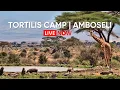 Lagu Live from Tortilis Camp | Amboseli Waterhole with Mount Kilimanjaro