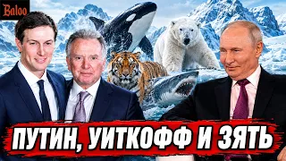 ПУТИН КОСАТКИ, МЕДВЕДИ, АКУЛЫ И ТИГРЫ | УИТКОФФ И ЗЯТЬ ЕДУТ В МОСКВУ И КИЕВ | ВЫБОРЫ ШРЕДИНГЕРА ЦИРК