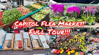 WEST WIND CAPITOL FLEA MARKET TOUR IN SAN JOSE CALIFORNIA